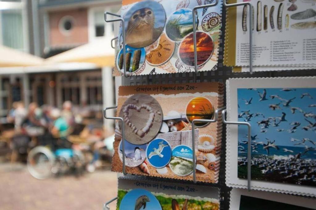 Gastenverblijf Janssen In Schagen Ngoại thất bức ảnh